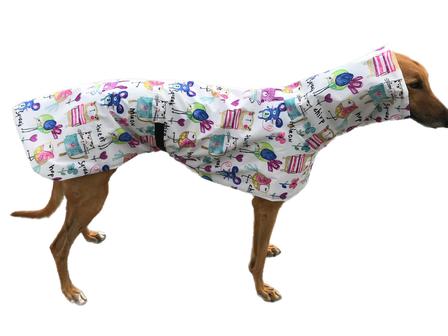 Cutest Summer rainwear Greyhound coat deluxe style, ultra lightweight, washable