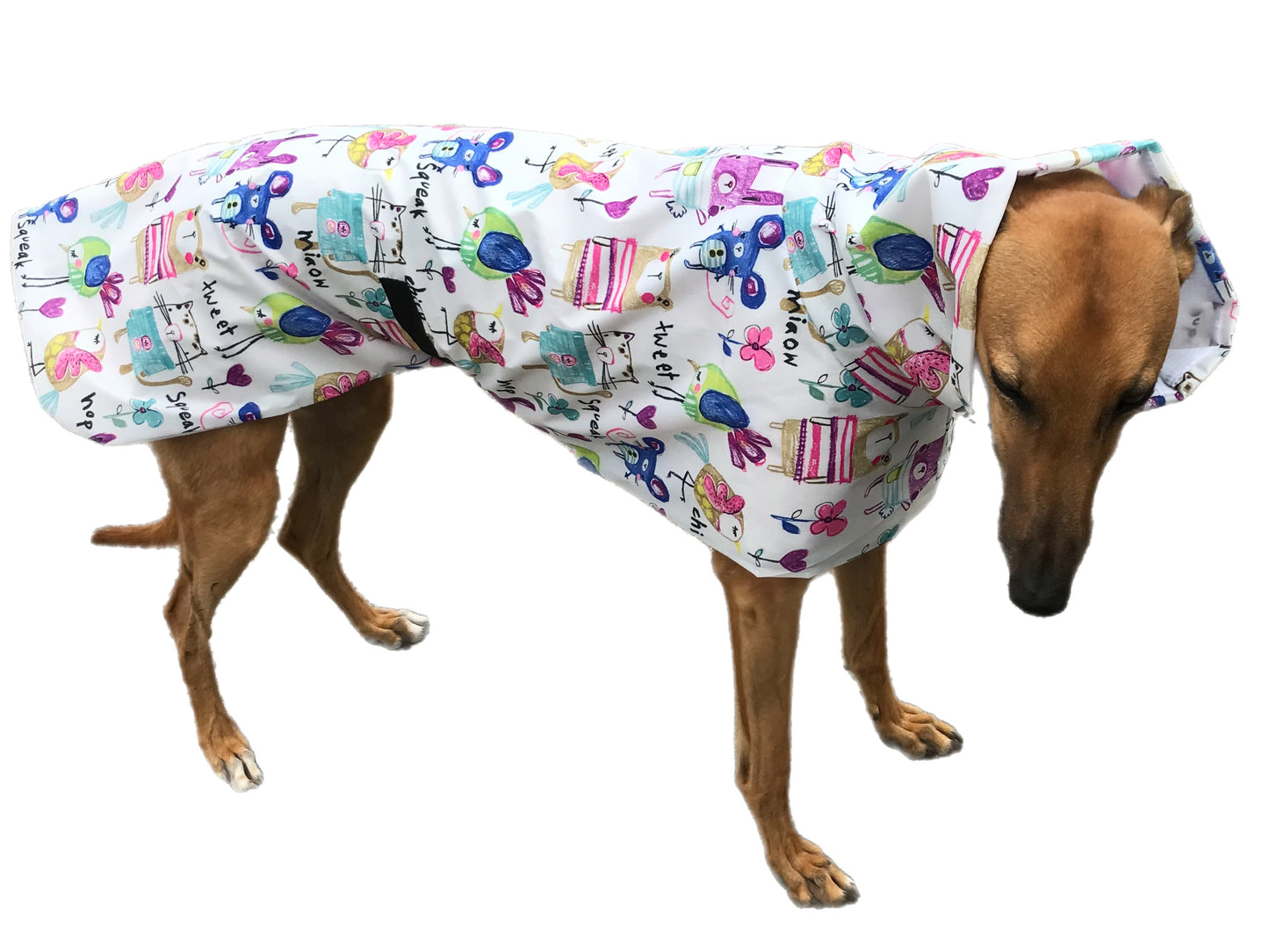 Cutest Summer rainwear Greyhound coat deluxe style, ultra lightweight, washable