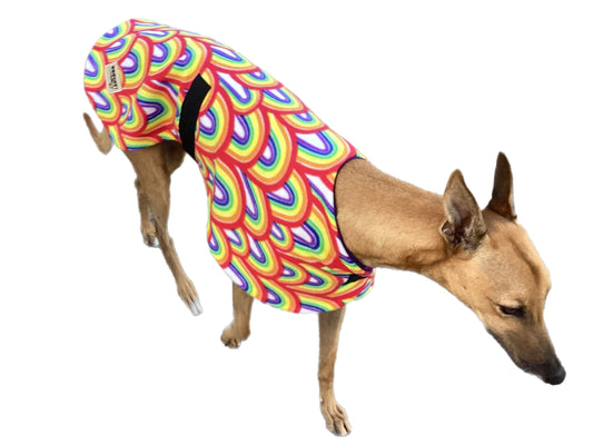 Autumn range classic style Greyhound ‘rainbow’ in fleece washable