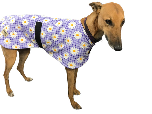 Autumn range greyhound classic style Greyhound ‘purple daisy’ coat in cotton & thick fleece washable