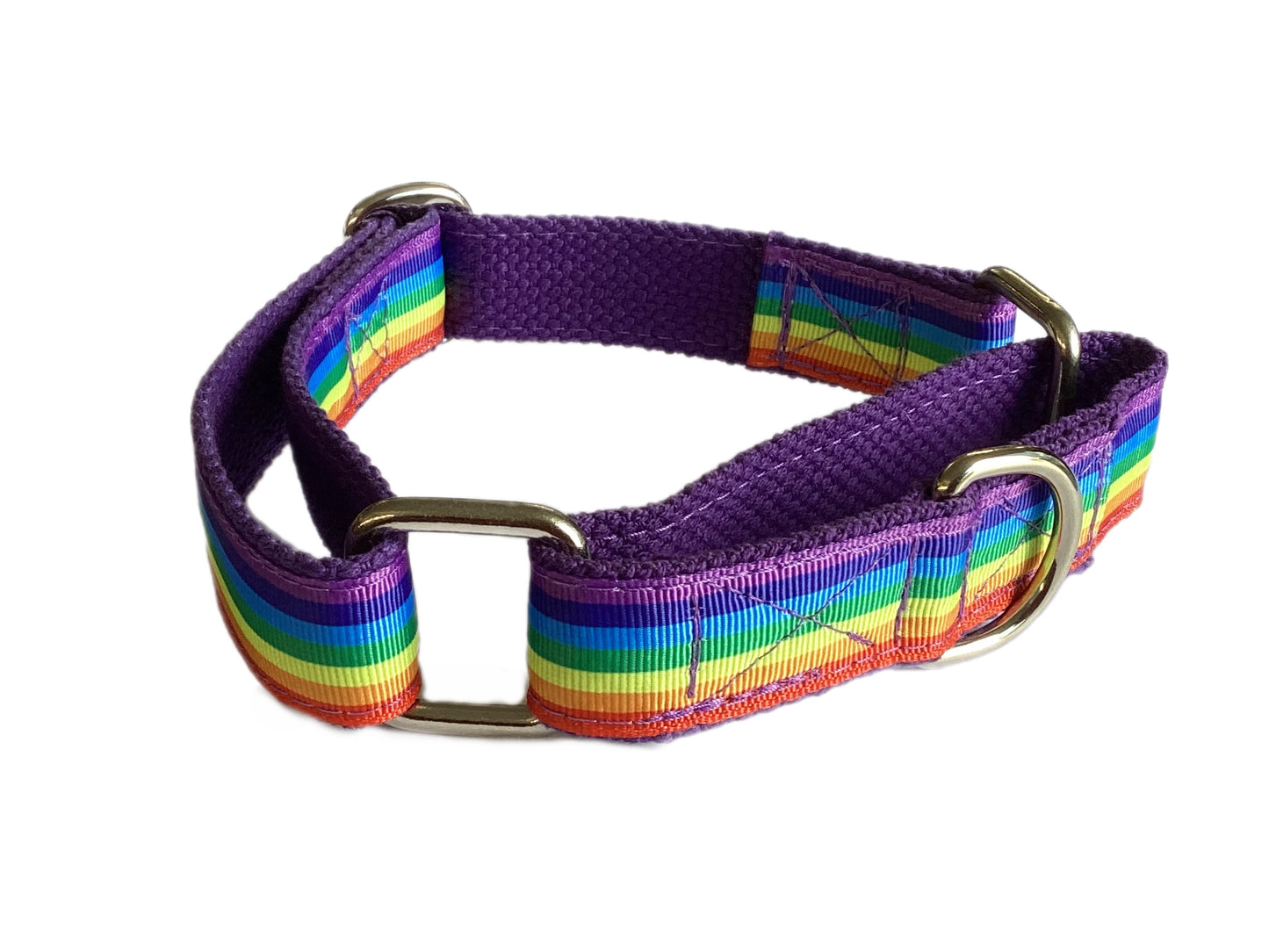 Rainbow colors 🏳️🌈 greyhound Martingale collar 25mm house collar