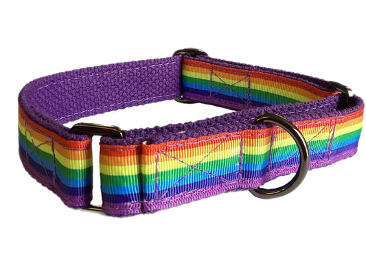 Rainbow colors 🏳️🌈 greyhound Martingale collar 25mm house collar
