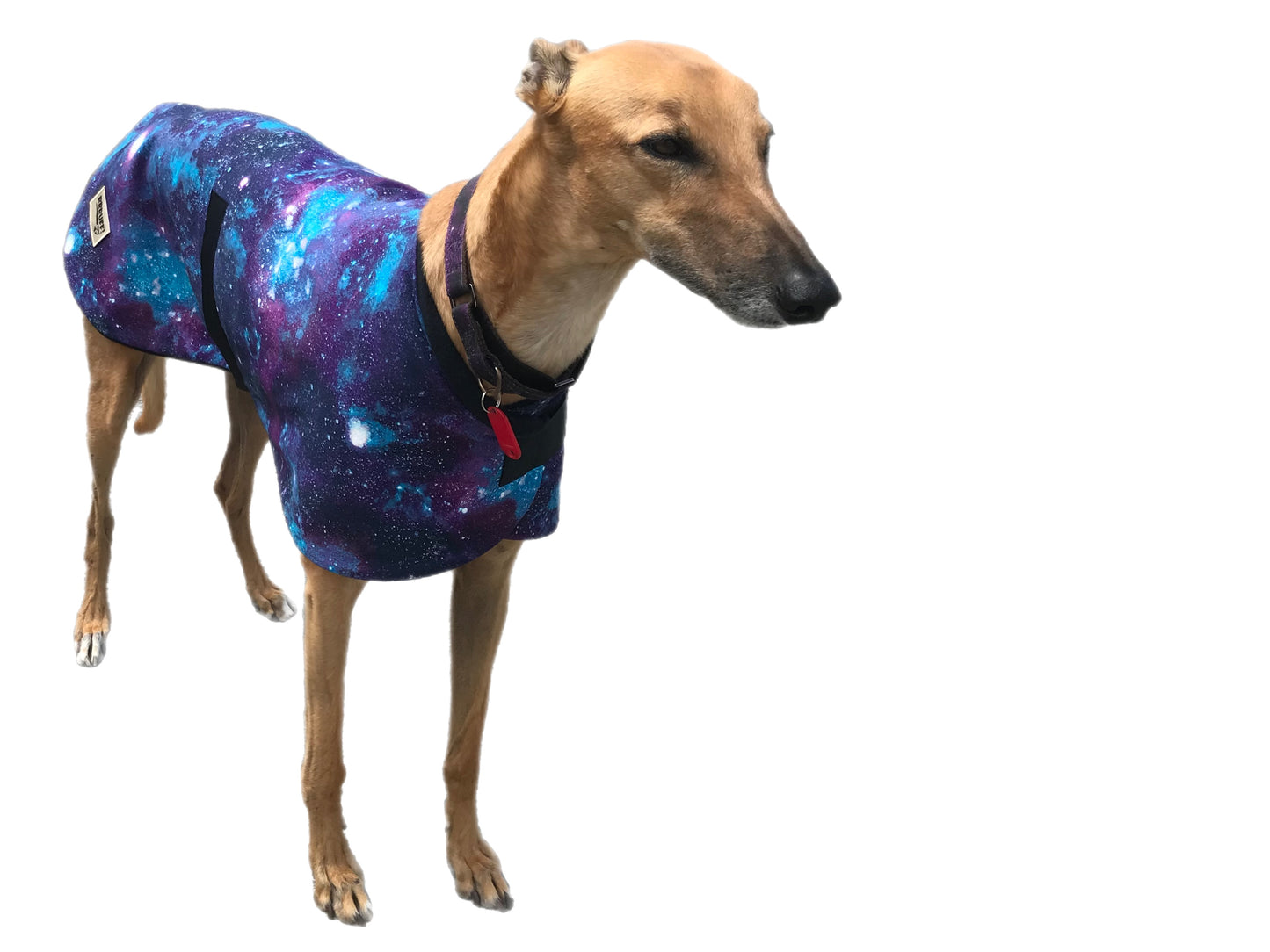 Autumn range classic style Greyhound ‘galaxy print’ coat in cotton & fleece washable. Sale