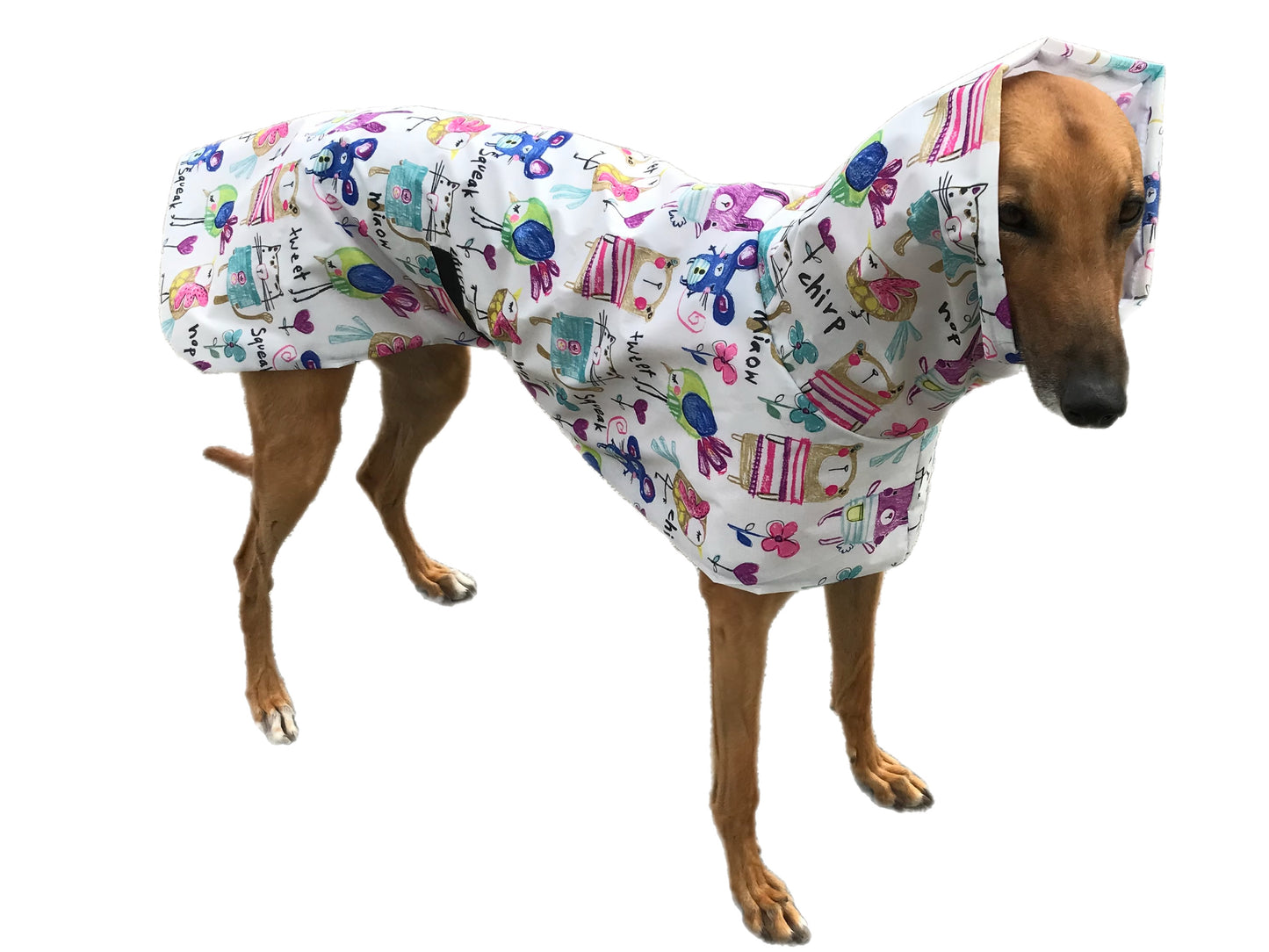 Cutest Summer rainwear Greyhound coat deluxe style, ultra lightweight, washable