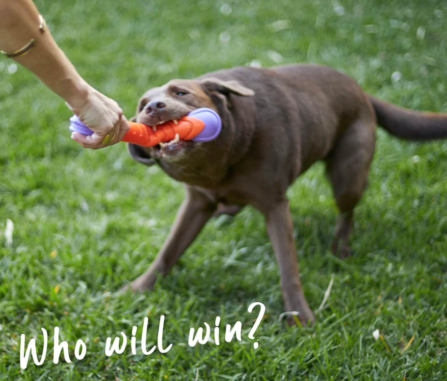Extreme chew stick dog toy for large dogs