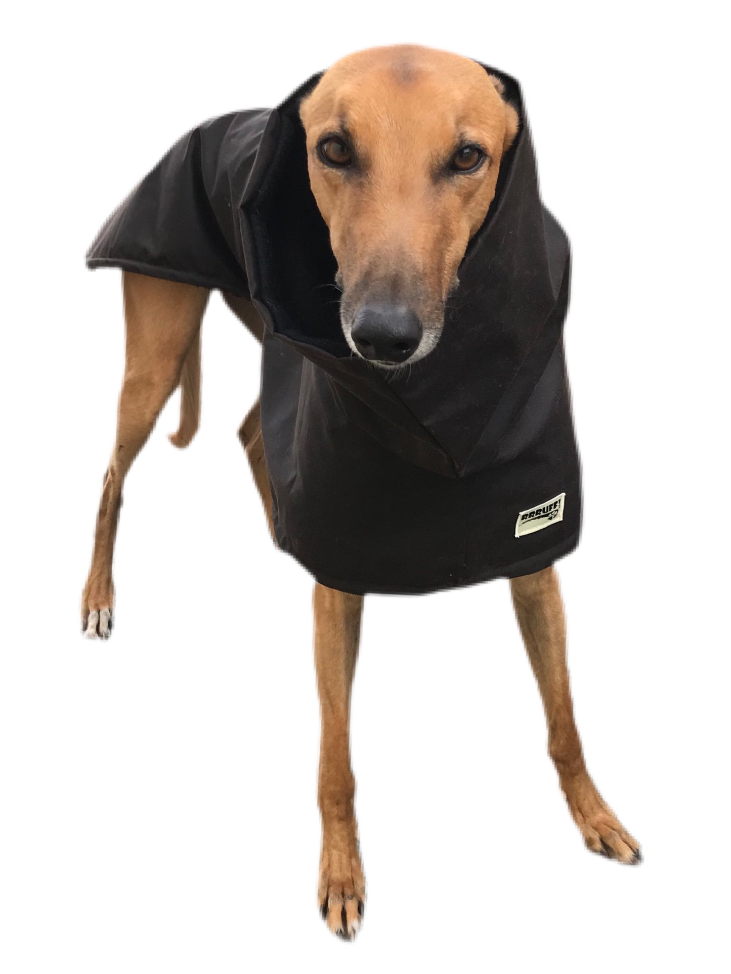 Oilskin ‘Greyzabone, Greyhound coat deluxe style, soft, water repellent, rainwear