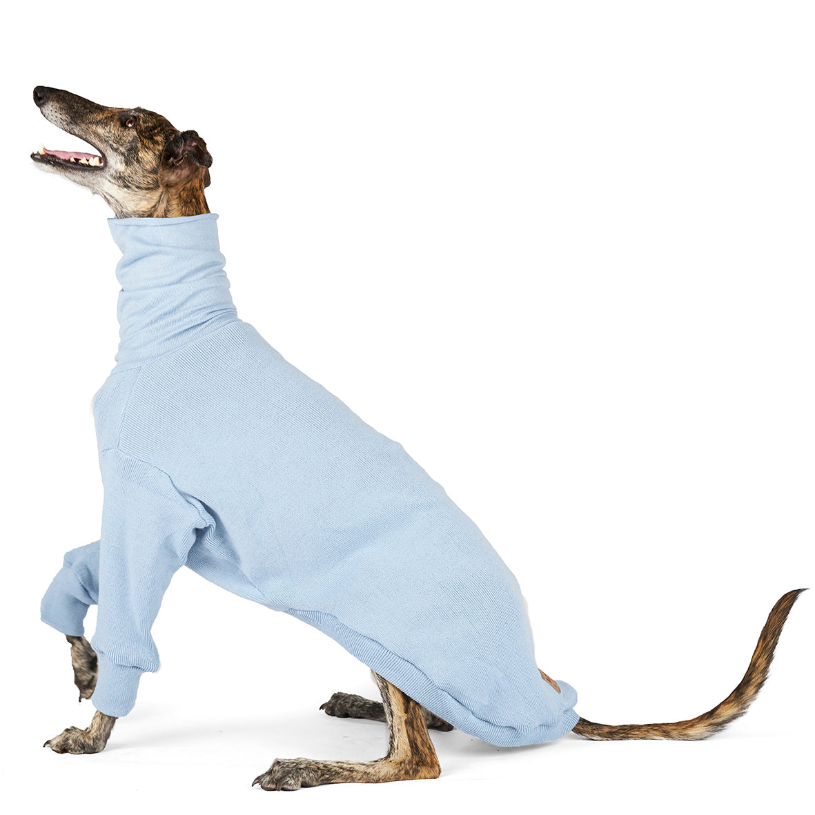 Clearance Greyhound Jumper Glasshouse