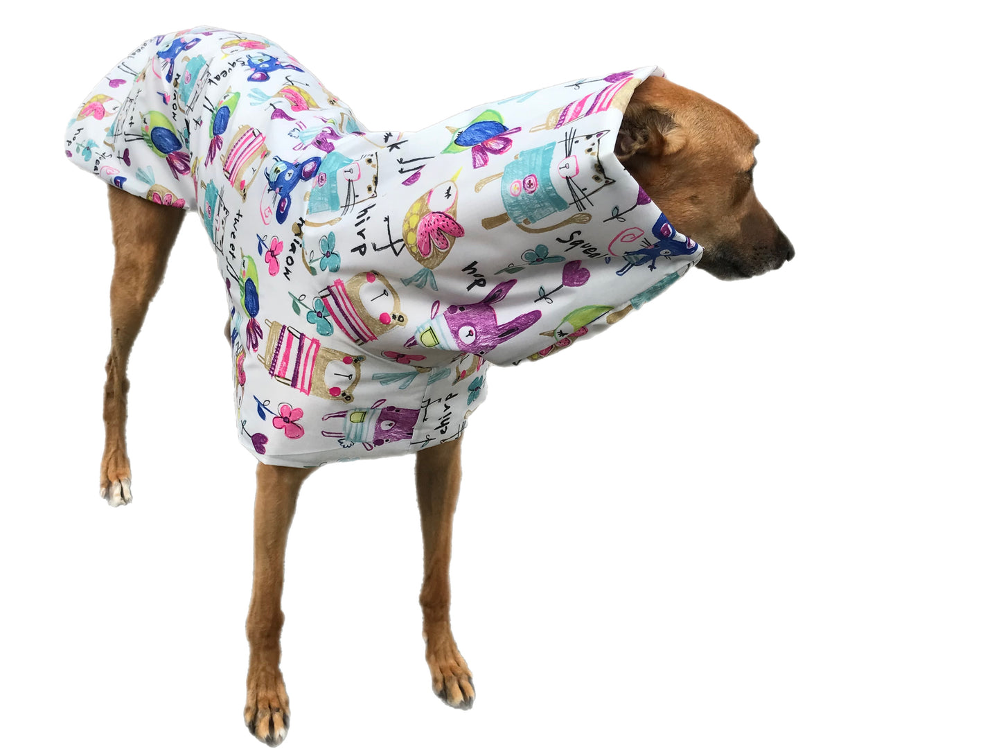 Cutest Summer rainwear Greyhound coat deluxe style, ultra lightweight, washable