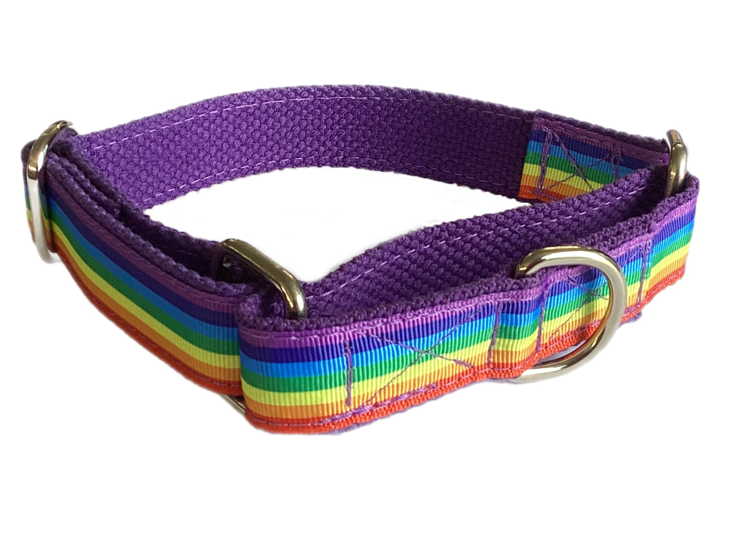 Rainbow colors 🏳️🌈 greyhound Martingale collar 25mm house collar