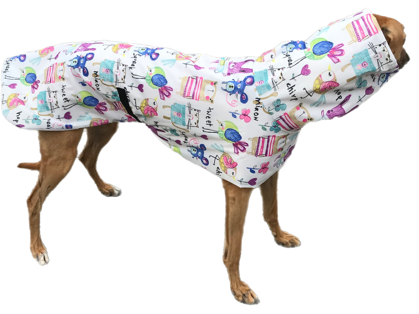 Cutest Summer rainwear Greyhound coat deluxe style, ultra lightweight, washable