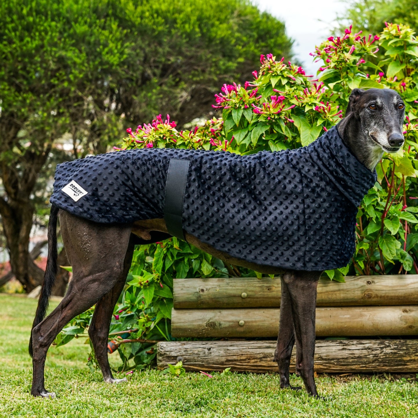 Elegance in Black minky fleece sports