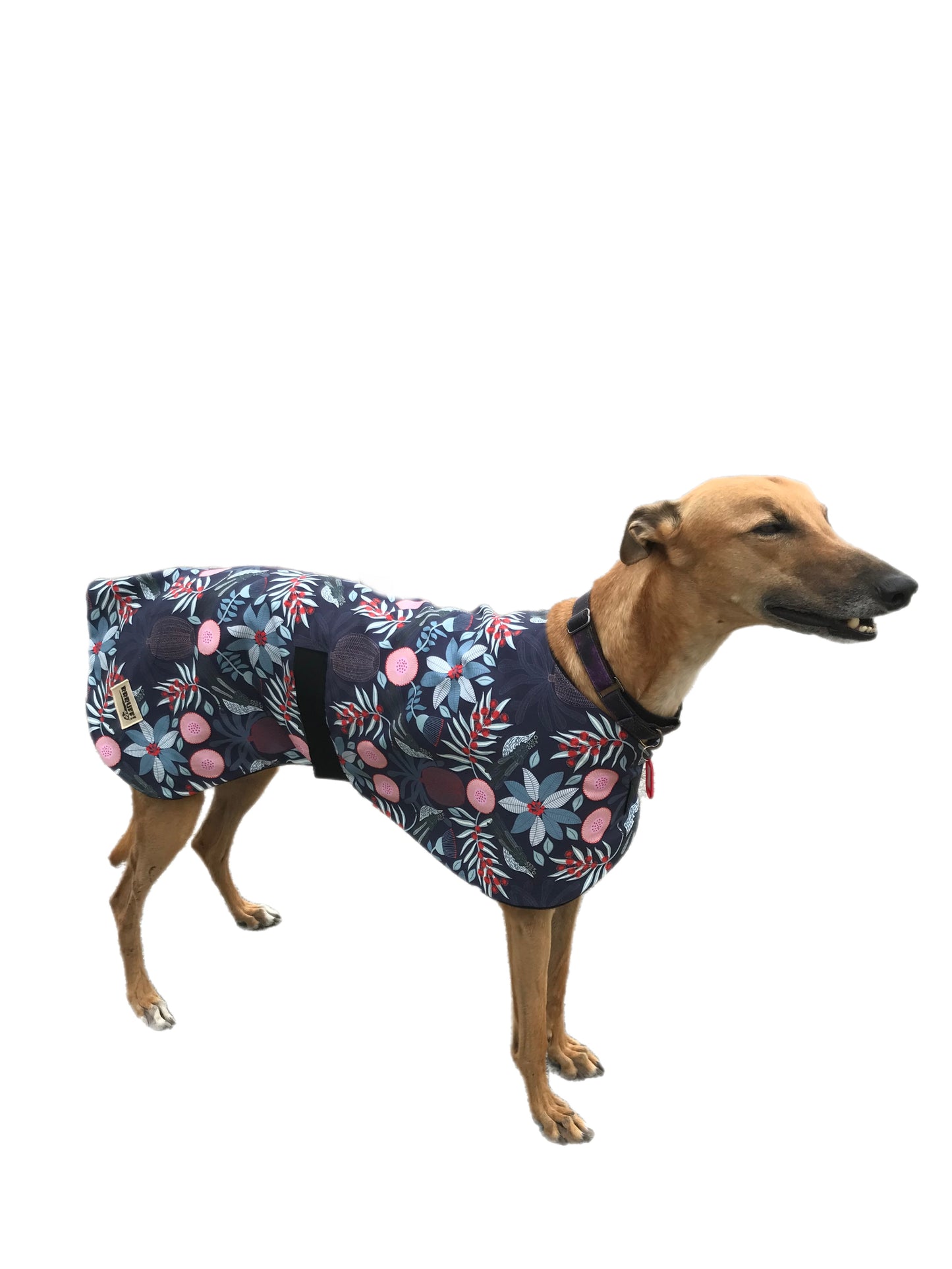Australiana bottlebrush design greyhound lightweight coat cotton fleece