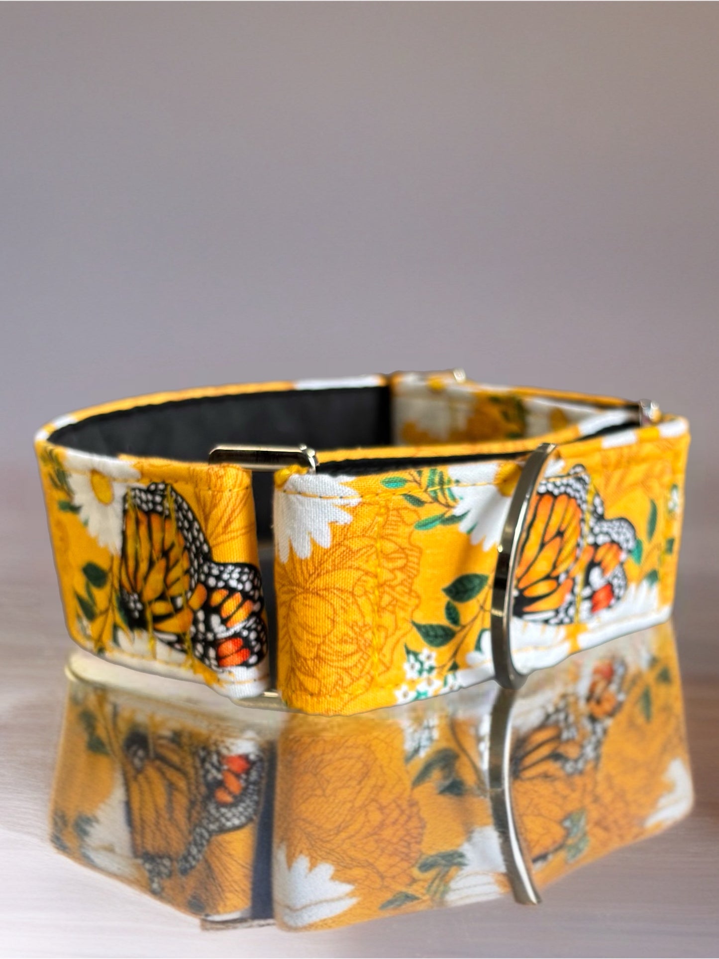 Summer gold butterflies cotton covered greyhound Martingale collar