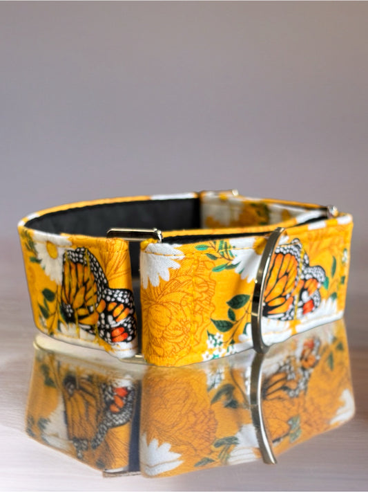 Summer gold butterflies cotton covered greyhound Martingale collar