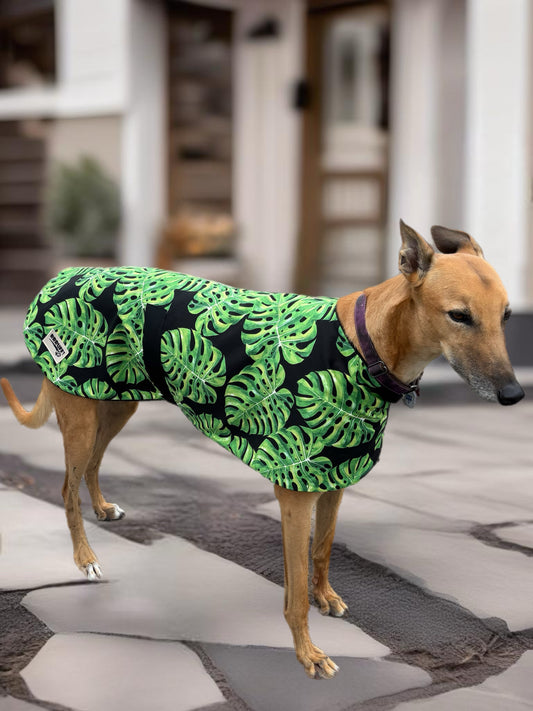 Autumn/Spring range classic style Greyhound vivid tropic design in lightweight cotton & fleece washable