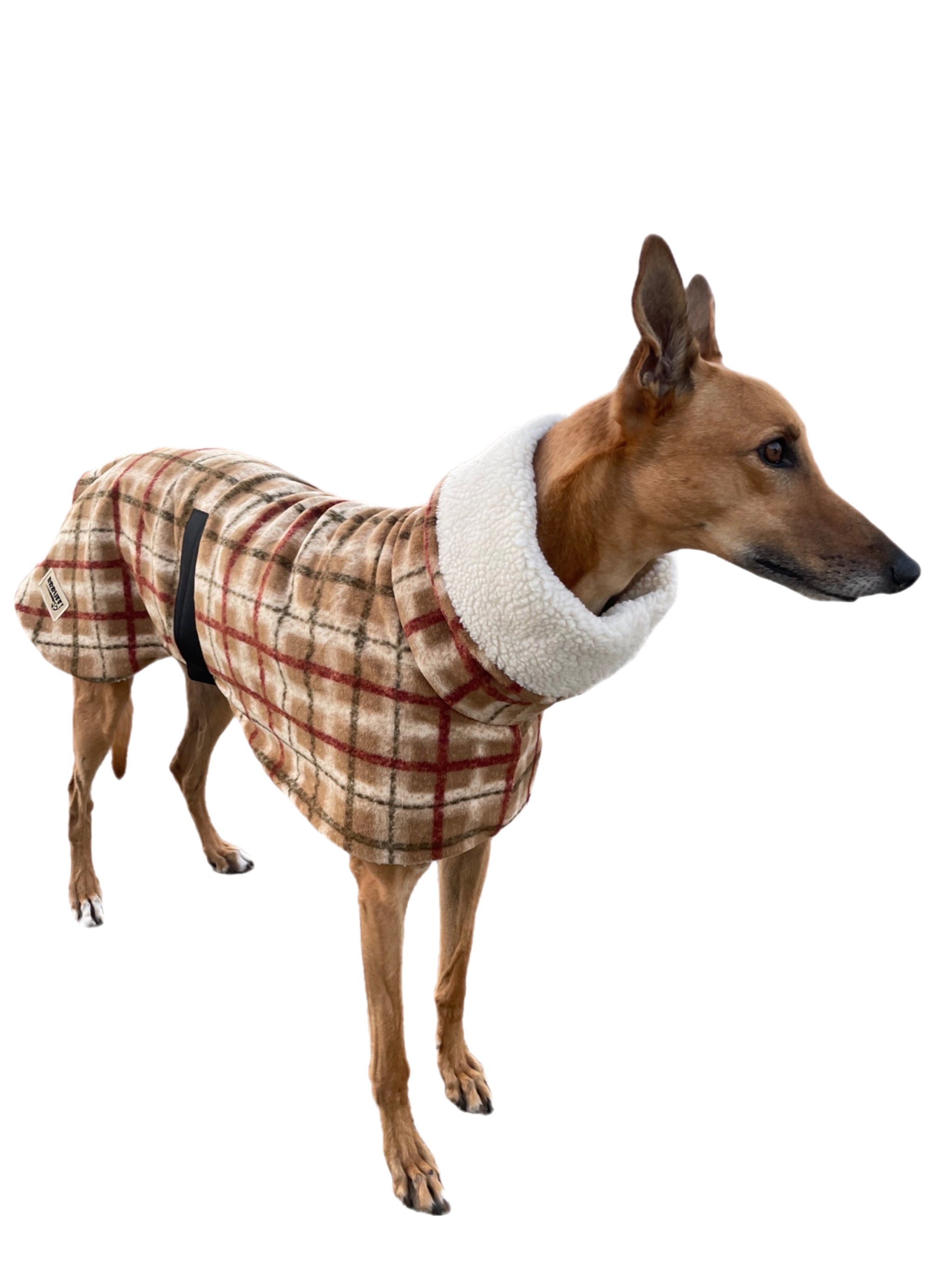 Tan Lumberjack Greyhound coat in deluxe style rug flanno check polar f ...