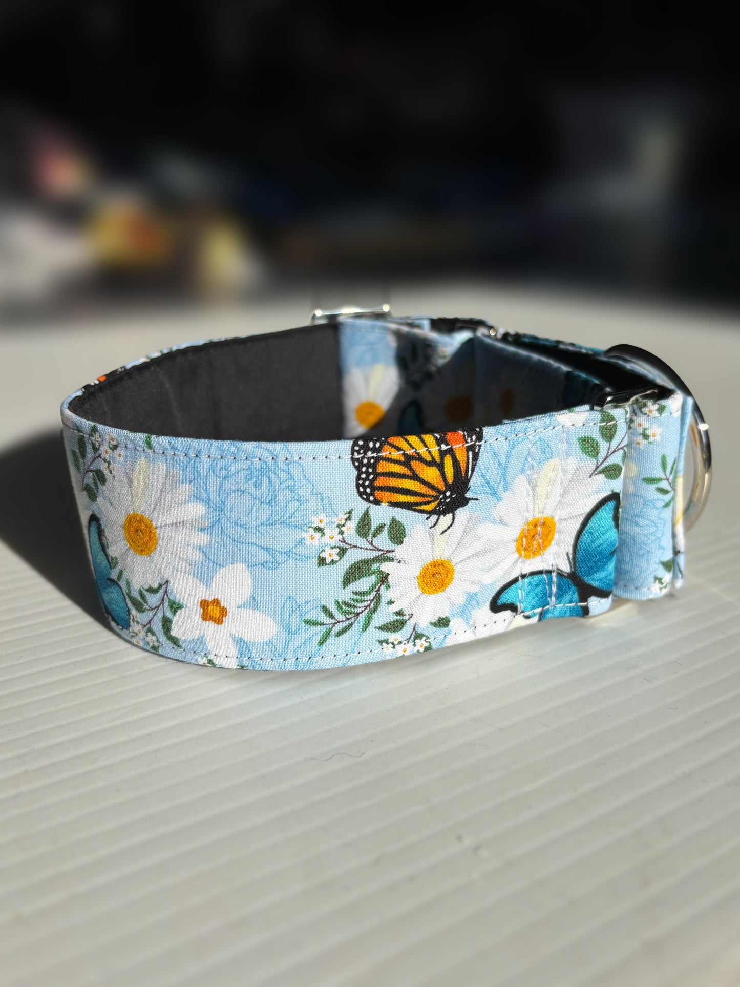 Summer blue butterflies cotton covered greyhound Martingale collar