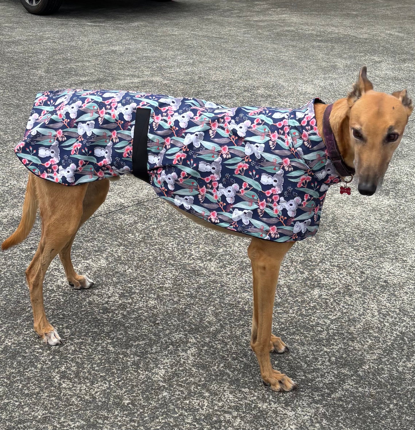 Summer featherweight greyhound slip-on coat Koala Bloom