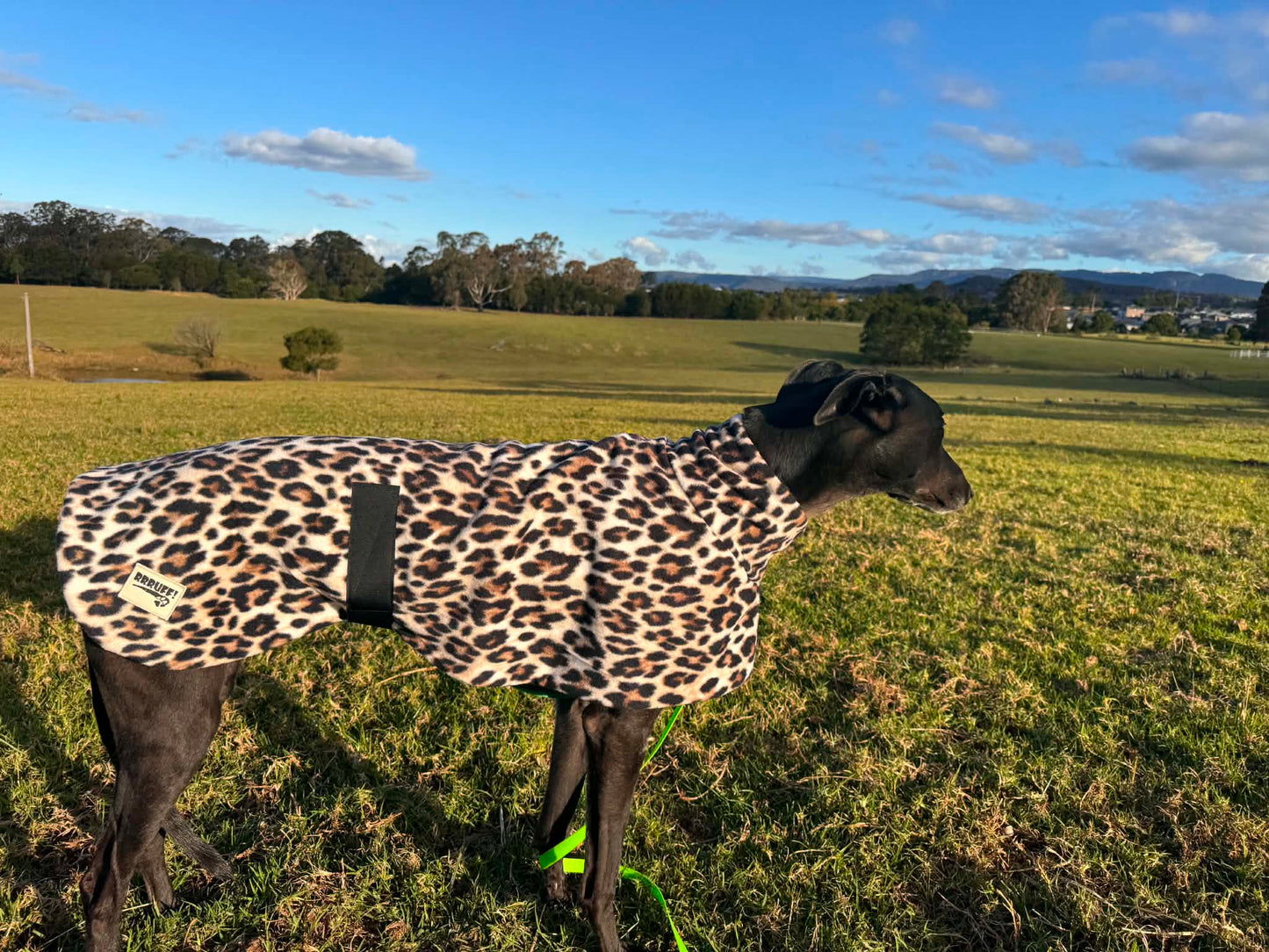 Wild luxe leopard print mid weight fleece sports greyhound style