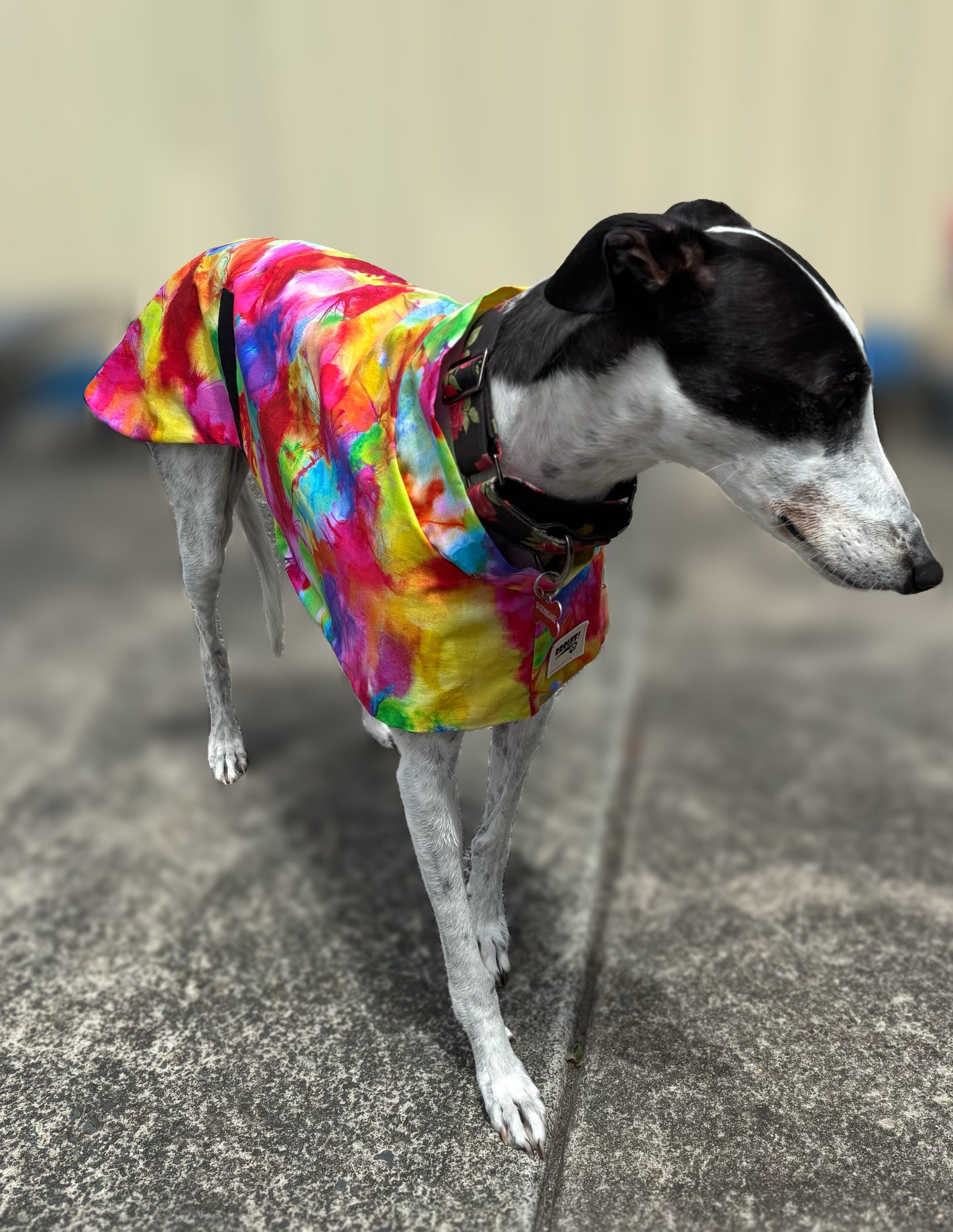 Summer featherweight greyhound slip-on coat
