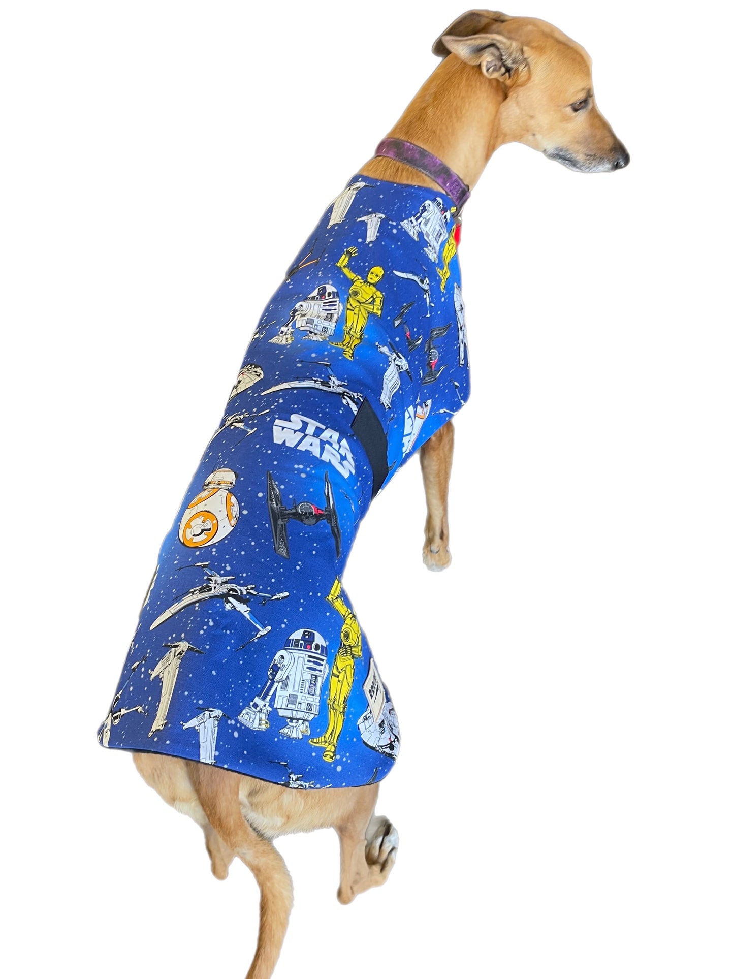Star Wars Spring classic style Greyhound coat design in a sturdy cotton & lush fleece washable
