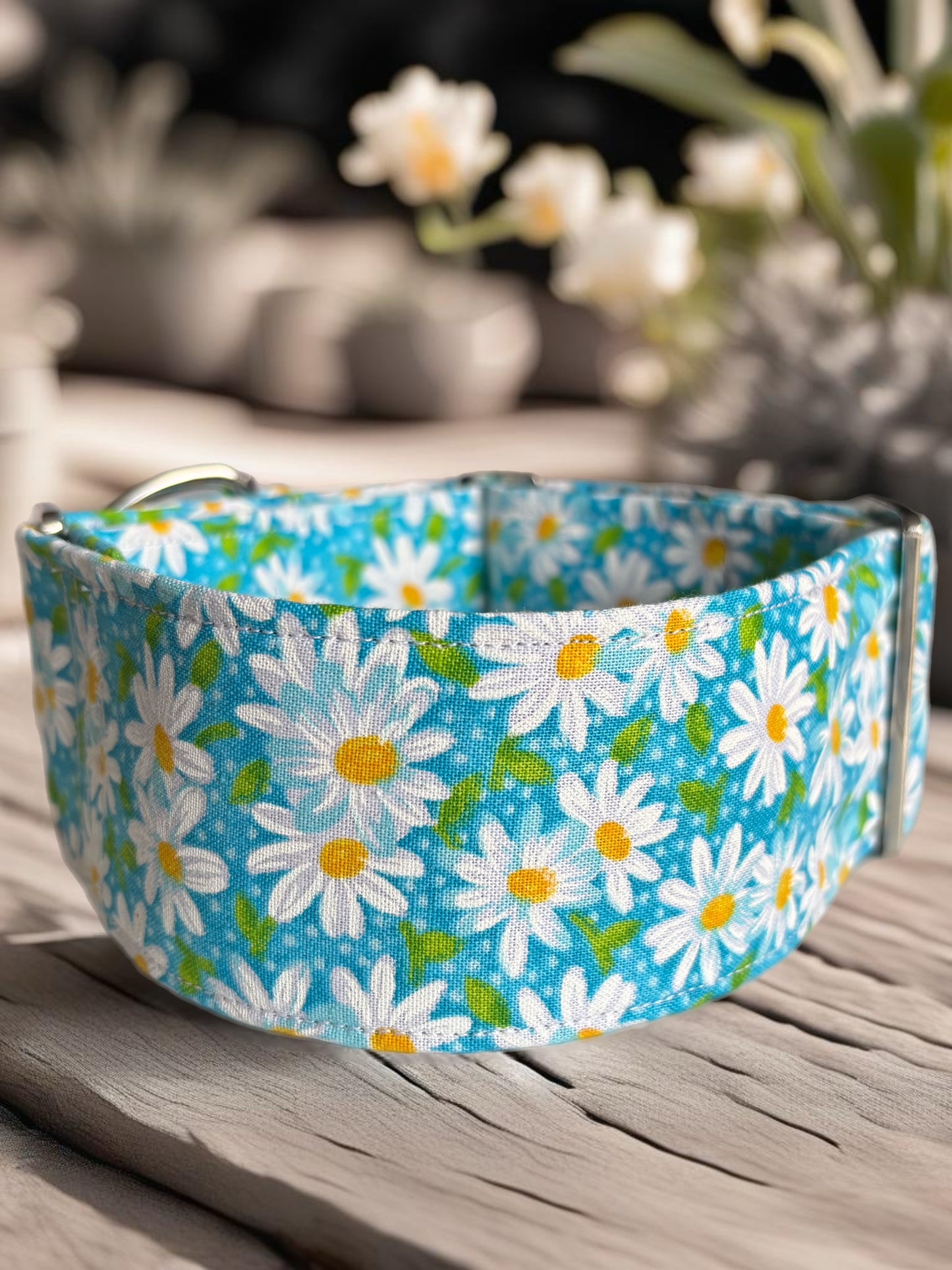 Fresh blue daisies design Cotton covered greyhound Martingale collar wide super soft