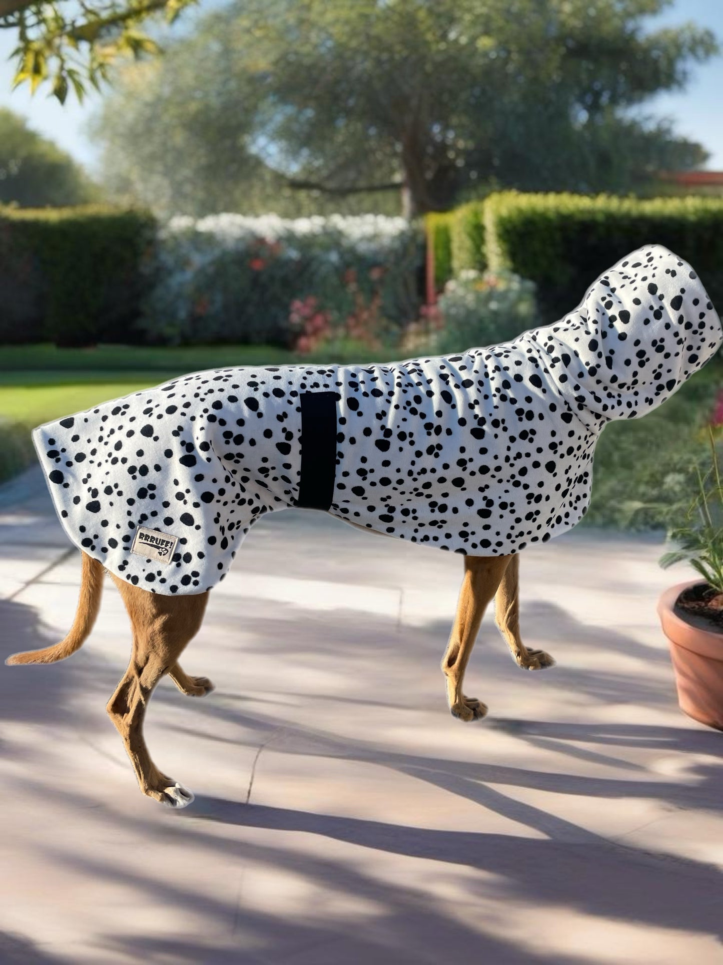 Going dotty luxury Greyhound Deluxe coat rug extra thick snuggly polar fleece washable