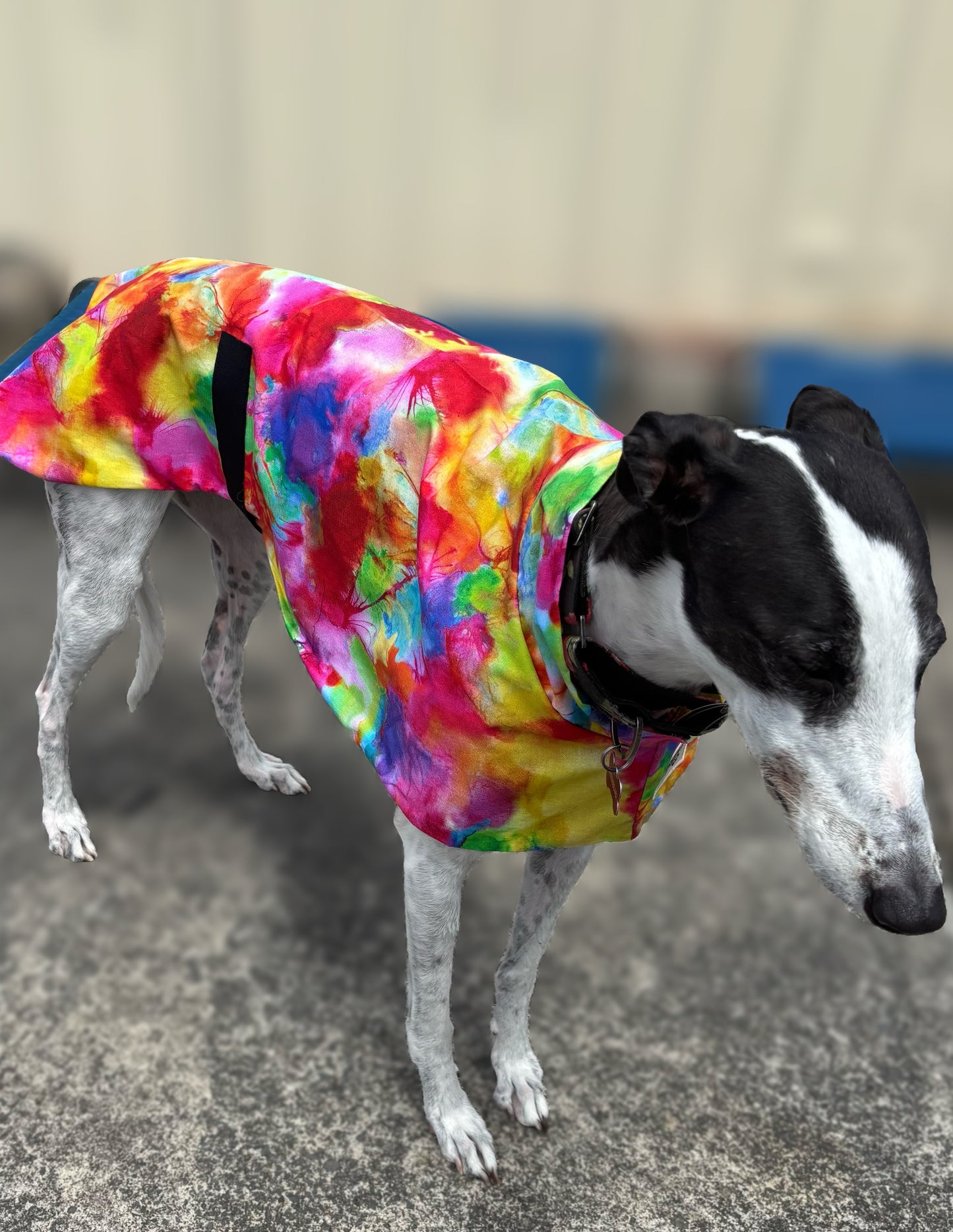 Summer featherweight greyhound slip-on coat