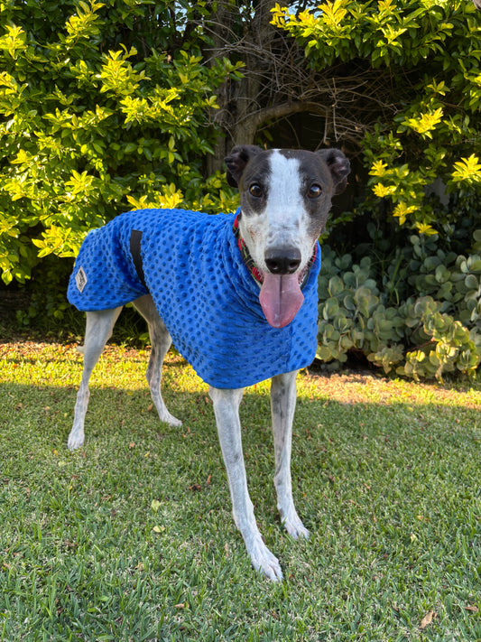 Velvet touch emerald blue minky fleece sports