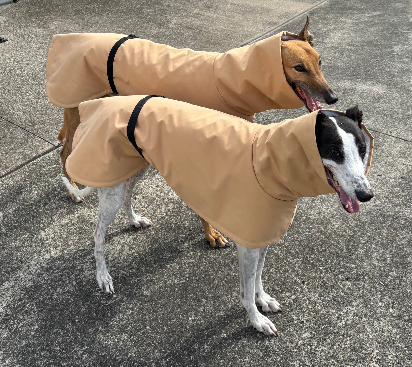 Driden Lux Sherpa Greyhound & whippet deluxe raincoats