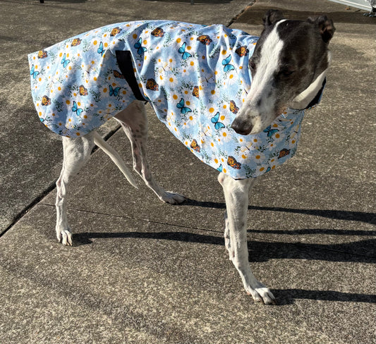Summer sun coat featherweight cotton greyhound slip-on coat blue butterflies