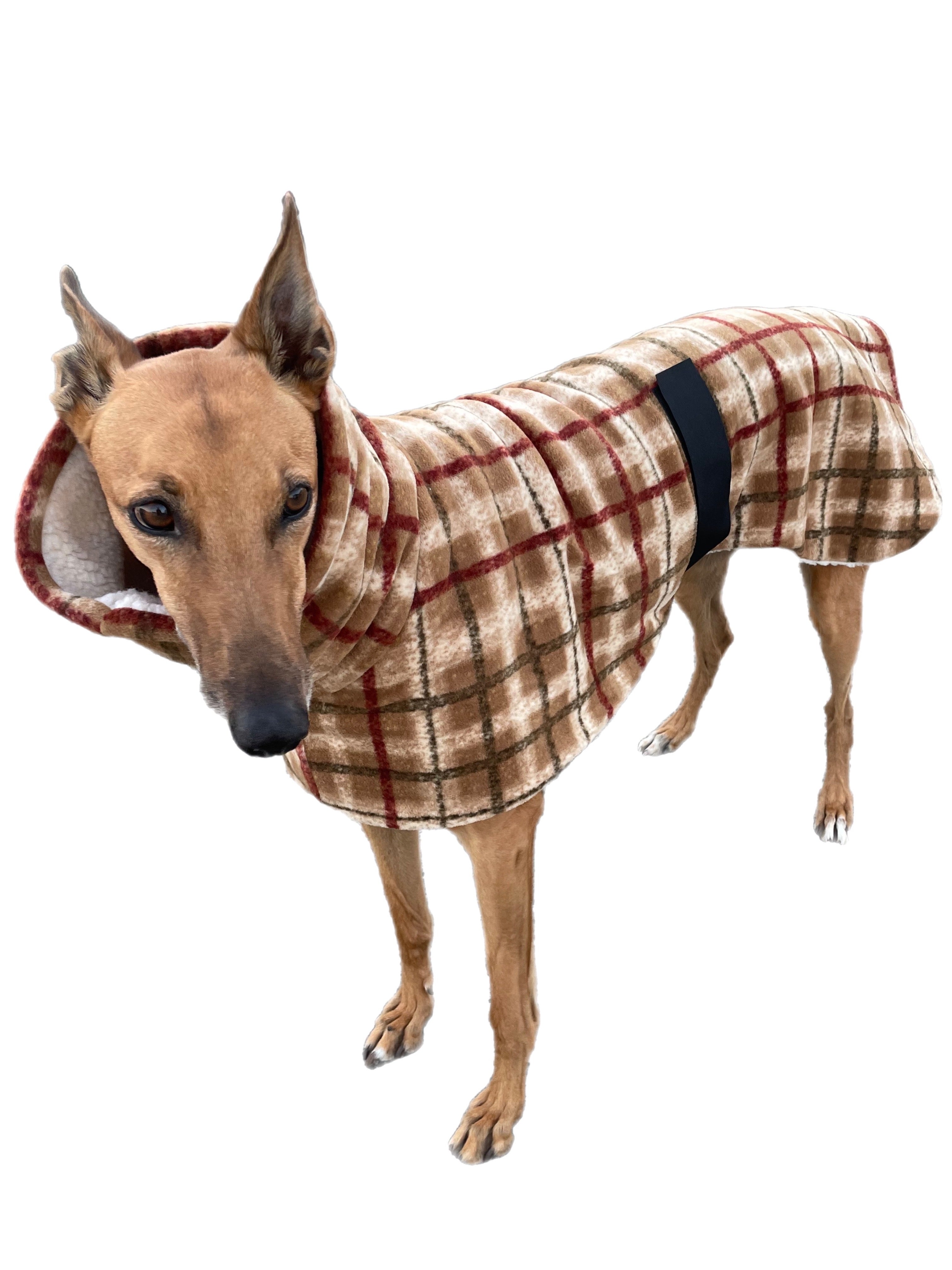 Tan Lumberjack Greyhound coat in deluxe style rug flanno check polar f ...