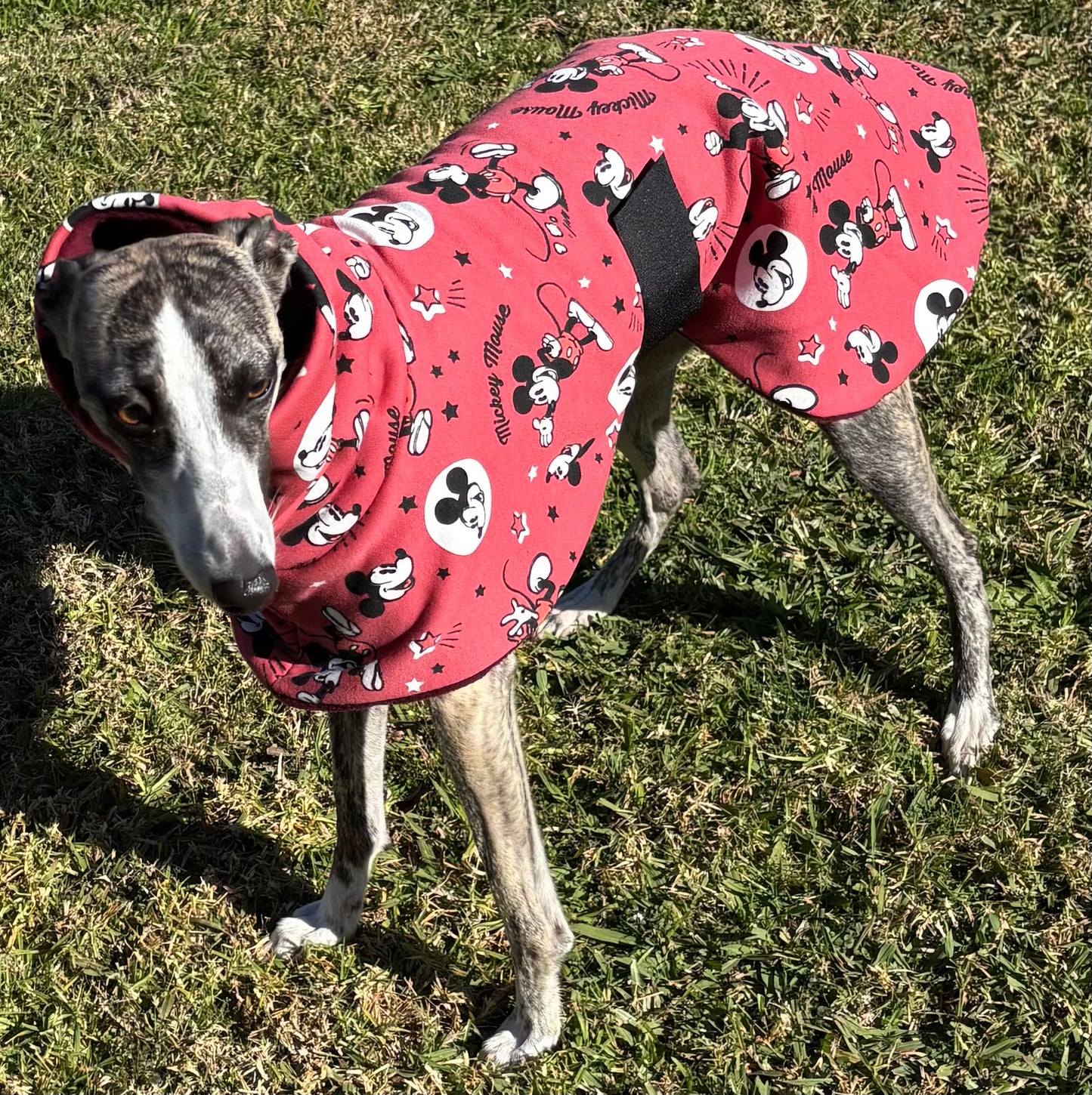Whimsy Disney inspired whippet snuggly double  fleece