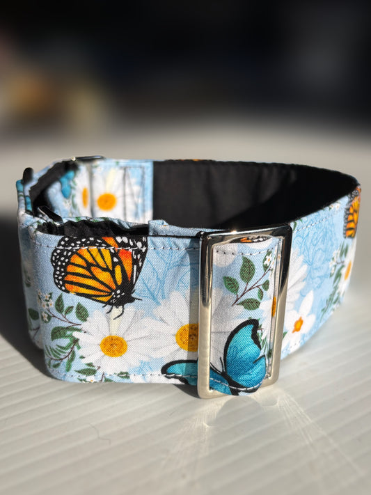 Summer blue butterflies cotton covered greyhound Martingale collar