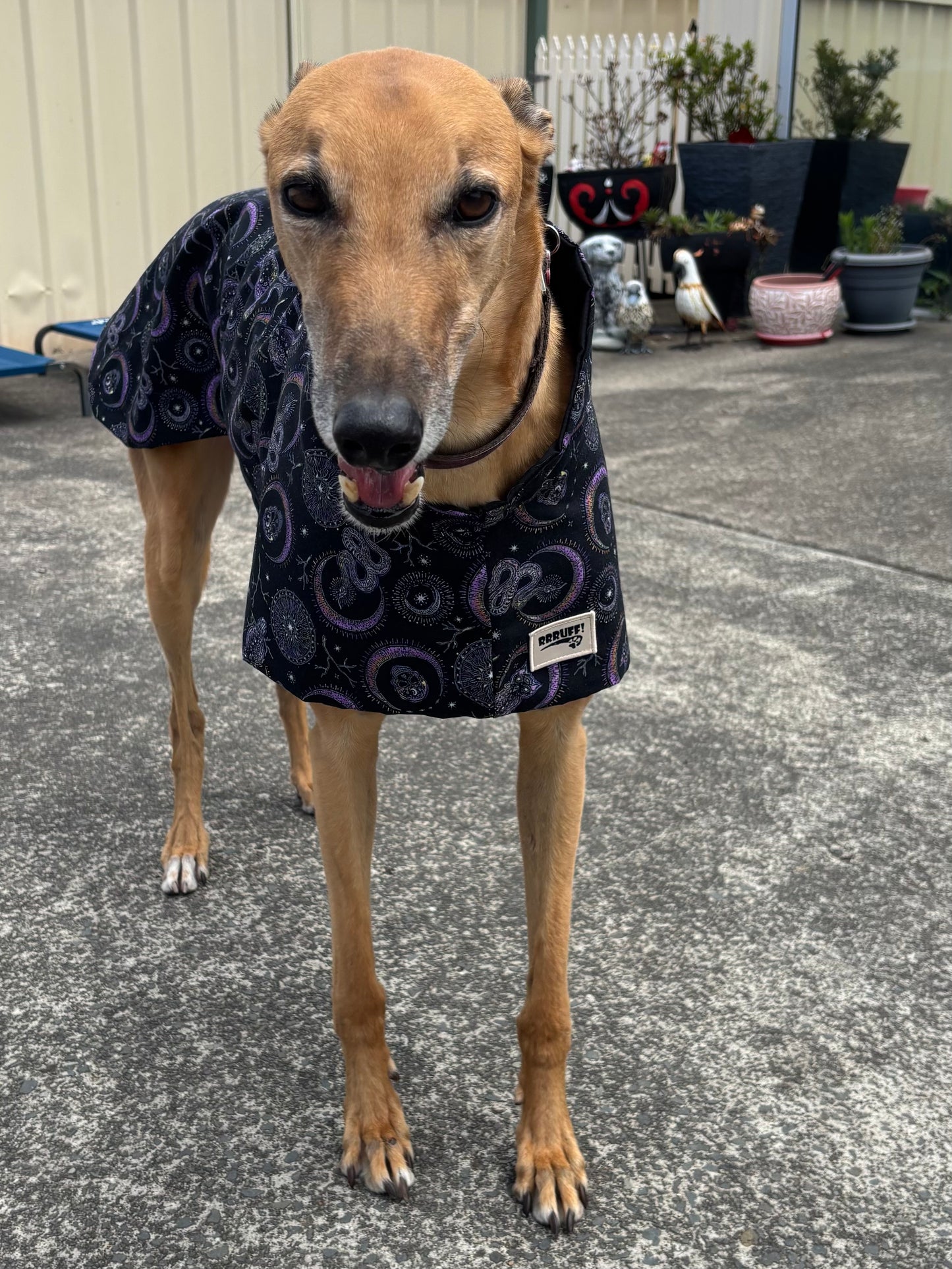 Summer featherweight greyhound slip-on coat