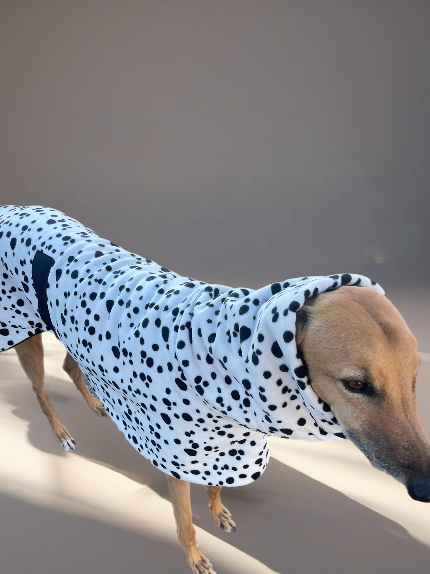 Going dotty luxury Greyhound Deluxe coat rug extra thick snuggly polar fleece washable