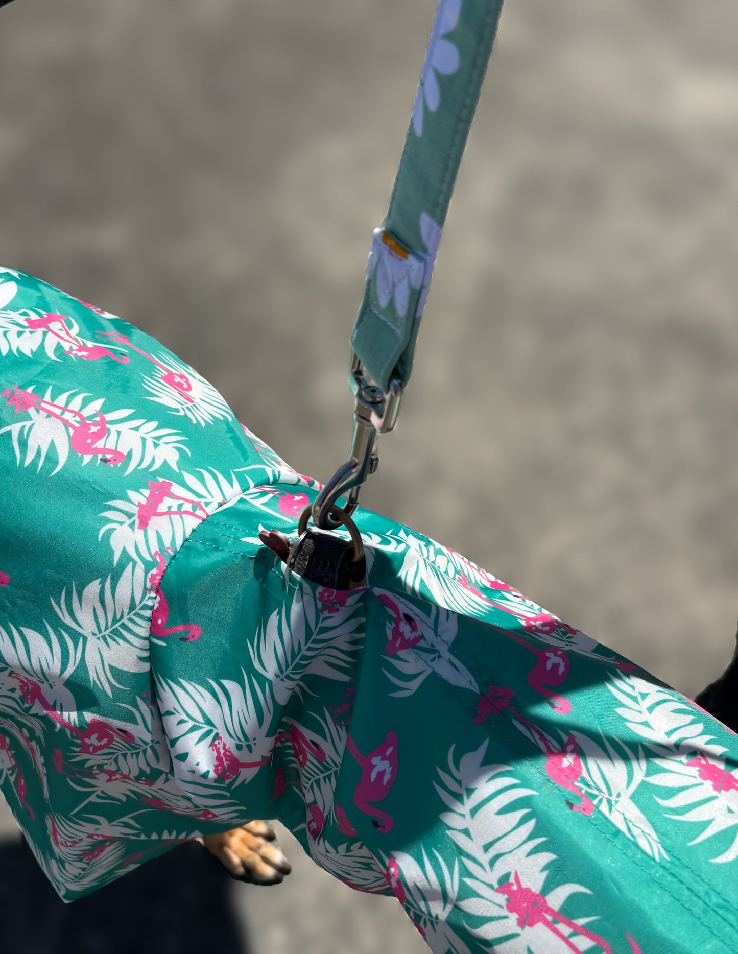 Pink flamingo Greyhound deluxe rainwear, washable ( now with leash hole)