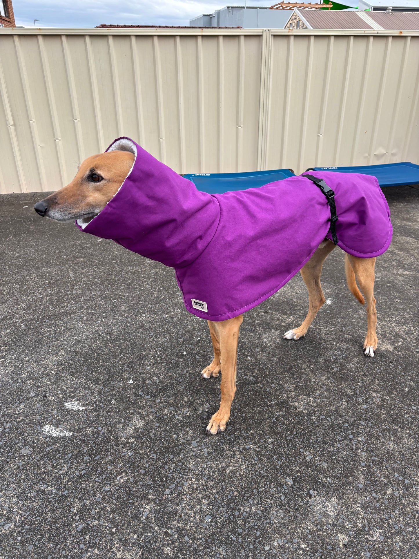 Driden Lux Sherpa Greyhound & whippet deluxe raincoats