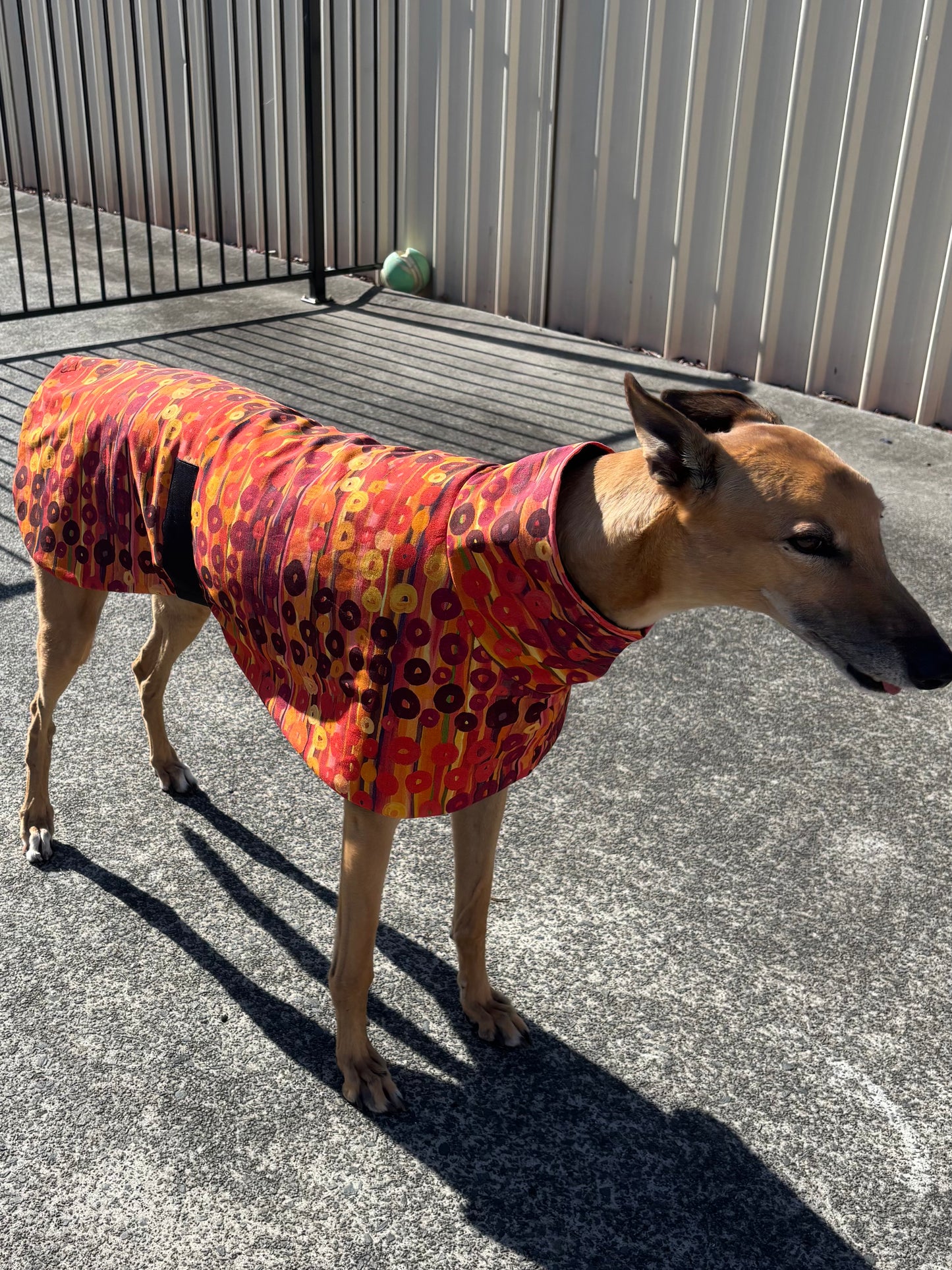 Sunset rhythm luxe indigenous design greyhound sports coat mid weight cotton & fleece Autumn wear