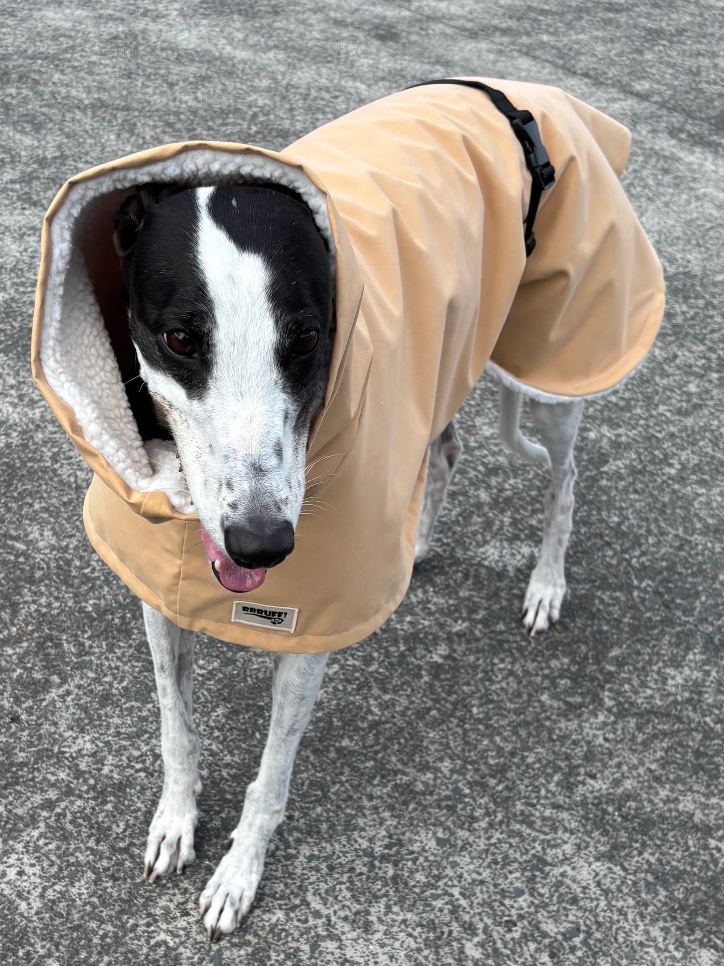 Driden Lux Sherpa Greyhound & whippet deluxe raincoats