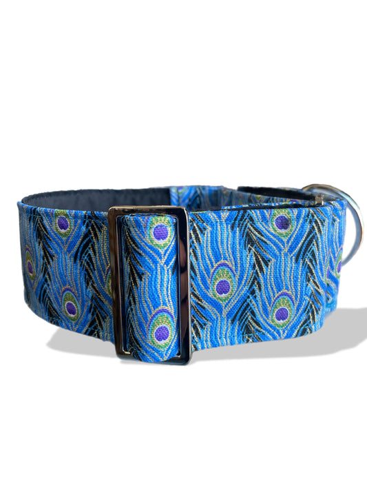 Peacock feathers featuring a shimmer thread cotton covered greyhound Martingale collar 50mm width