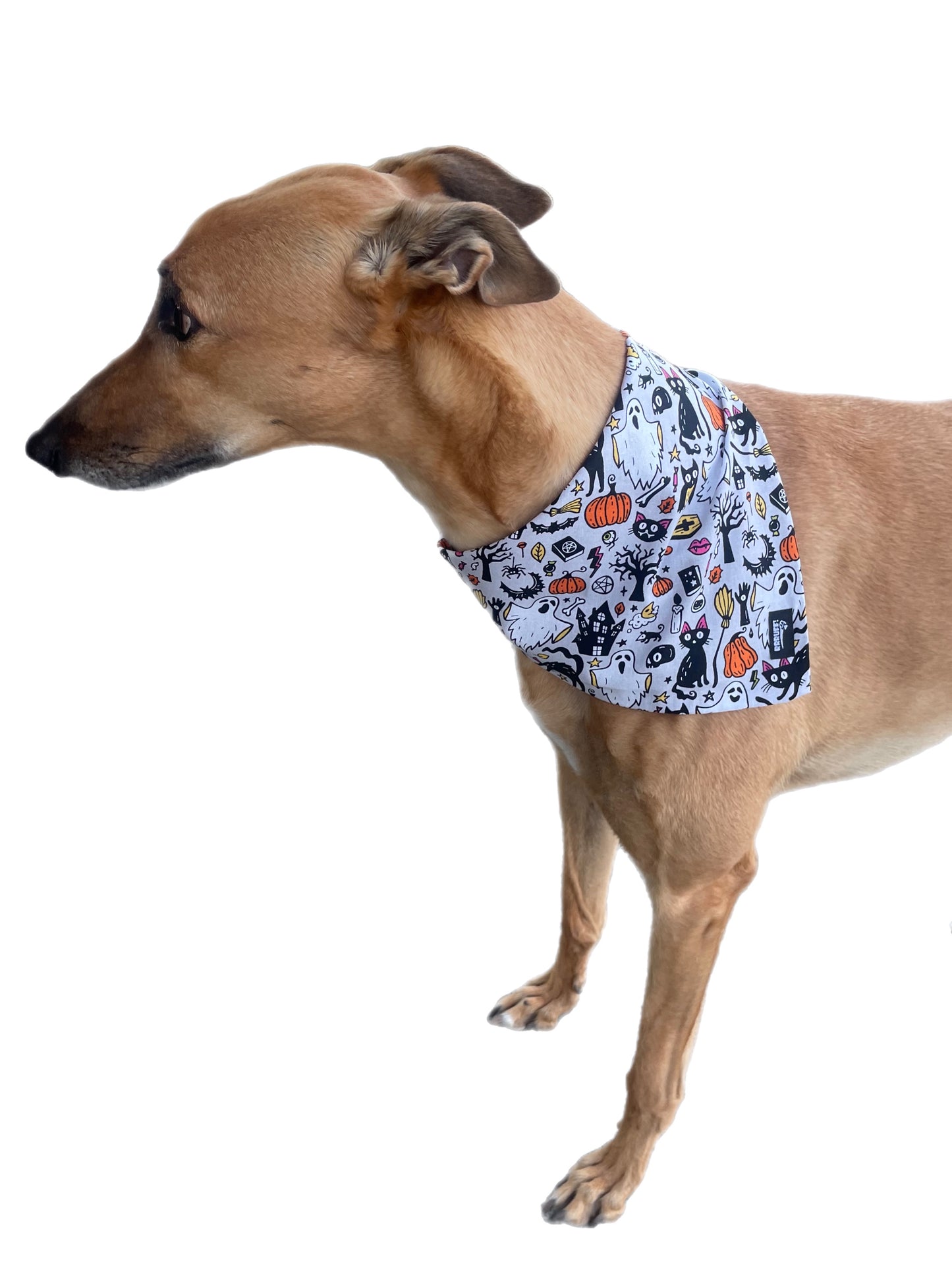 Halloween Bandana for the large dog greyhound staffy labradoodle reversible, cotton