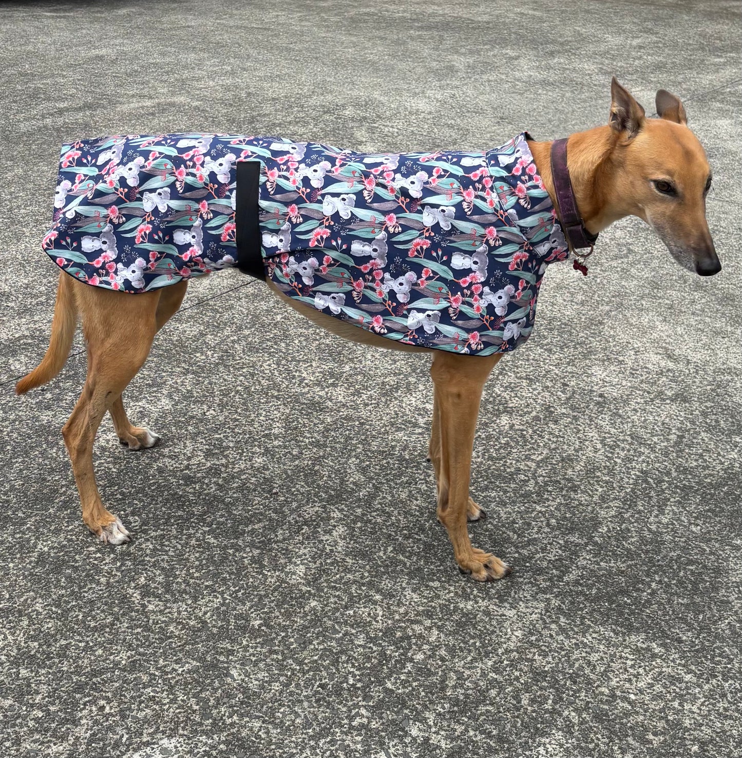 Summer featherweight greyhound slip-on coat Koala Bloom