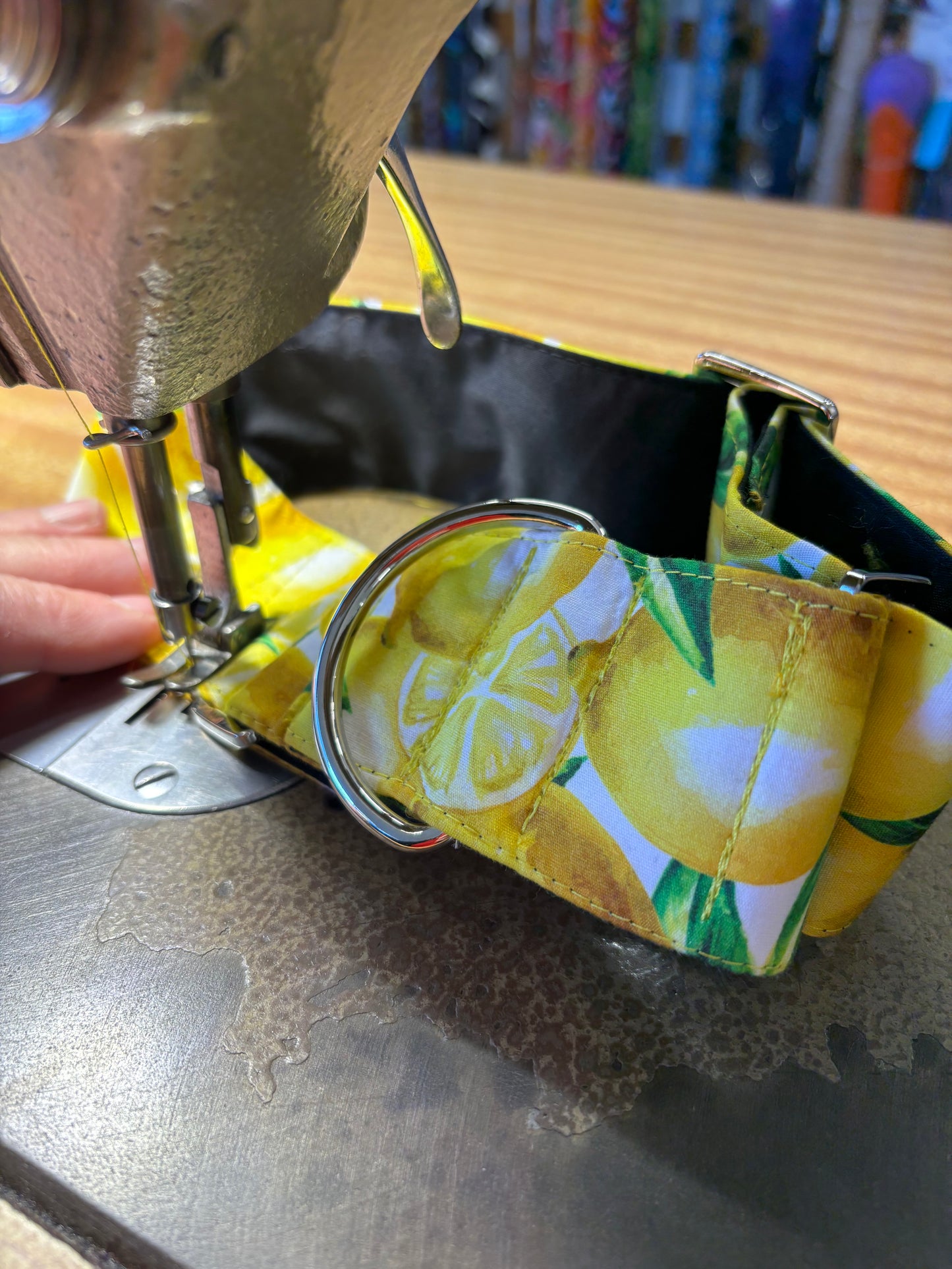 Squeezy pleasy Lemon print Greyhound Martingale collar cotton soft