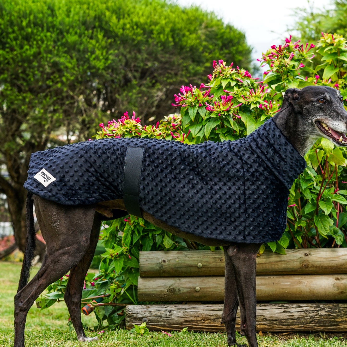 Elegance in Black minky fleece sports