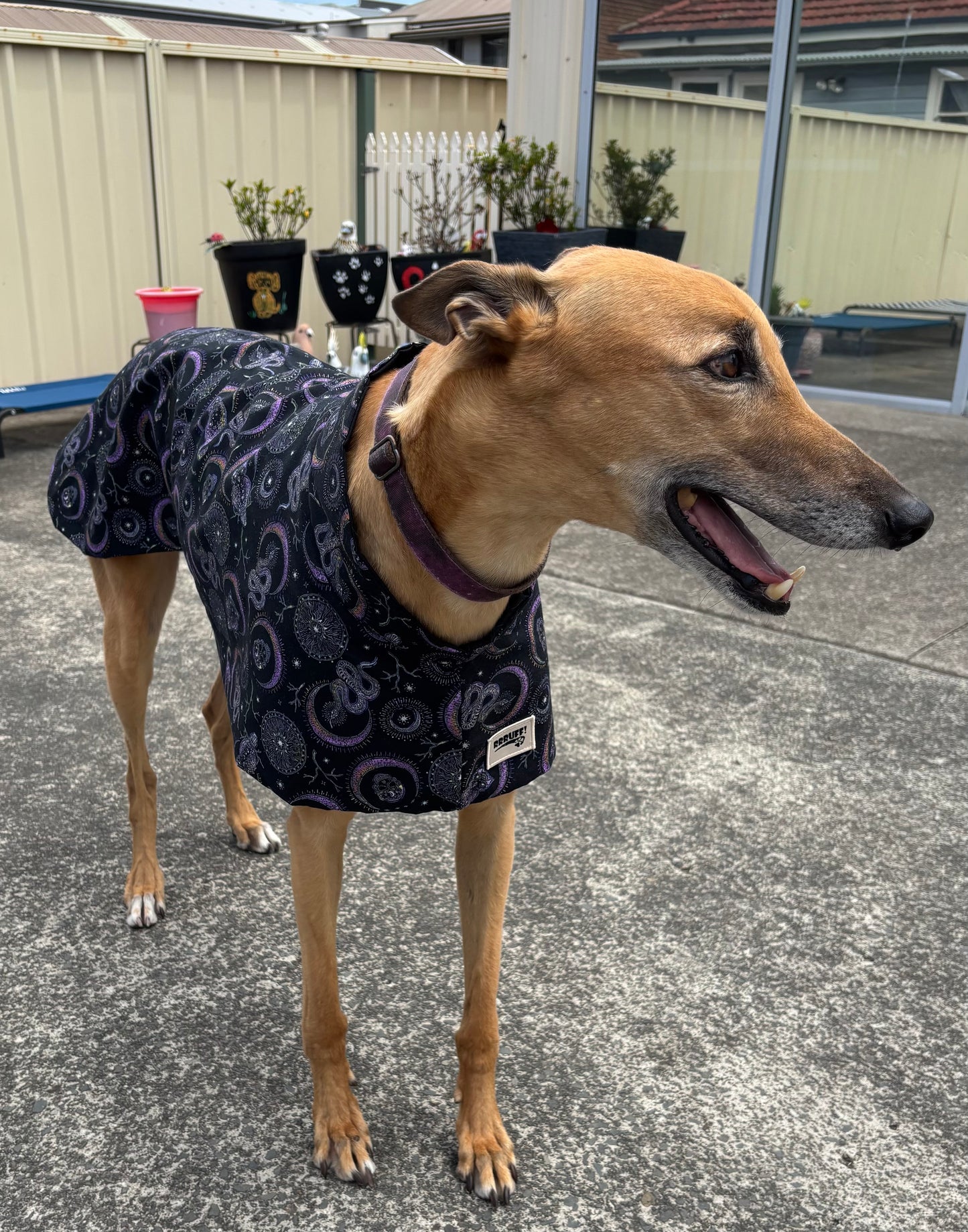 Summer featherweight greyhound slip-on coat