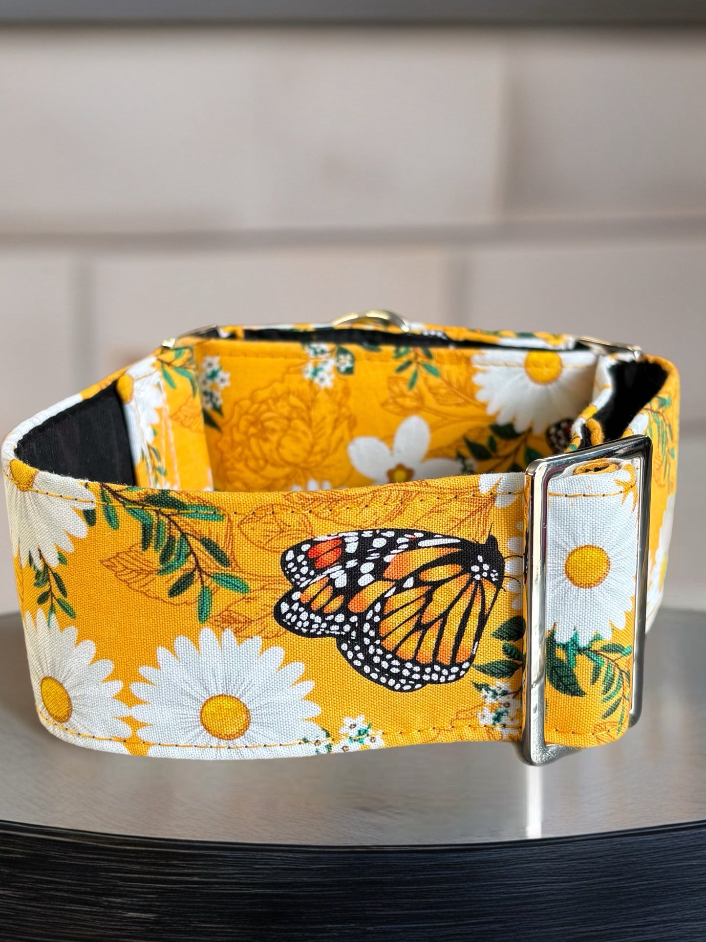 Summer gold butterflies cotton covered greyhound Martingale collar