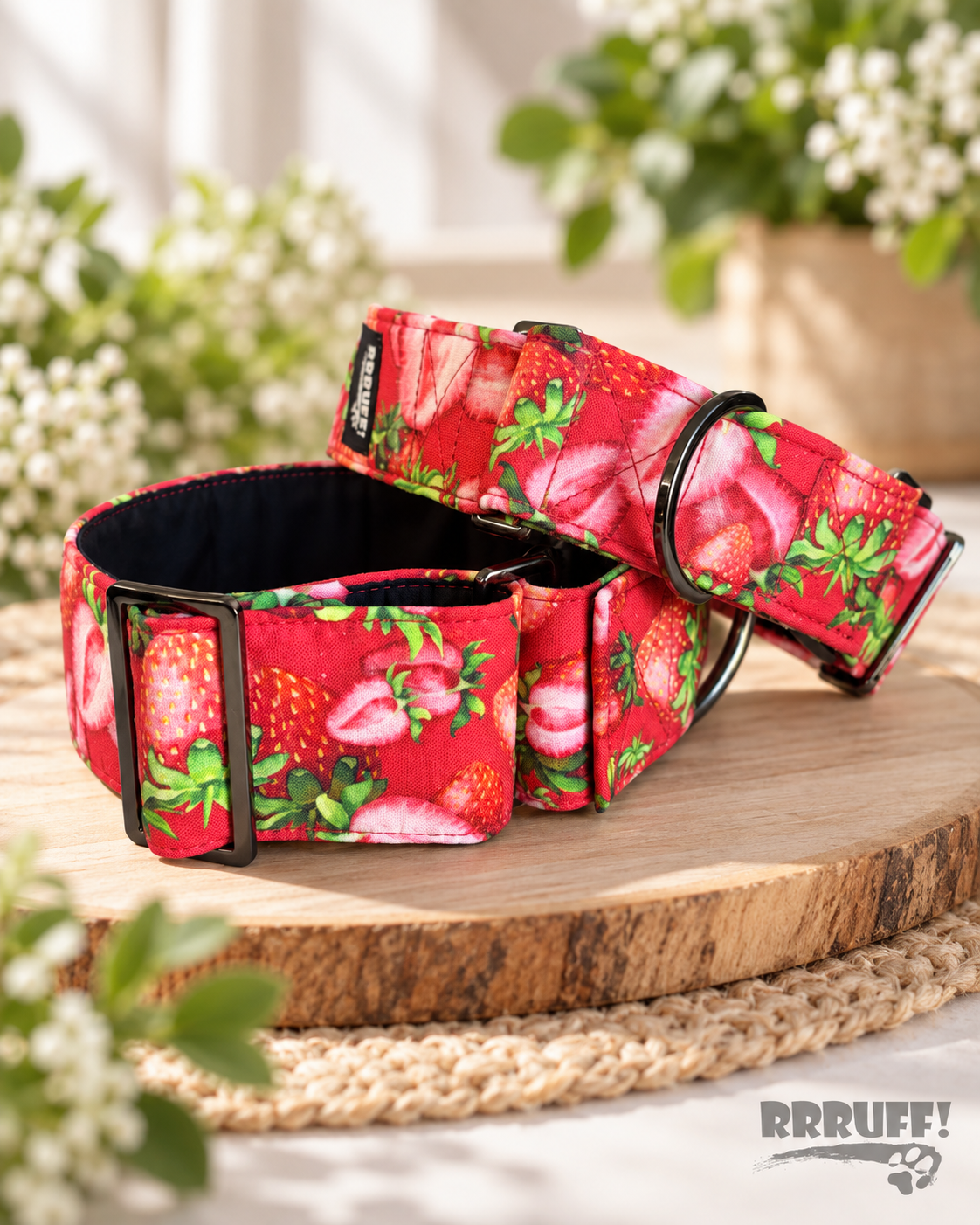 Berry best fresh strawberries martingale greyhound collar