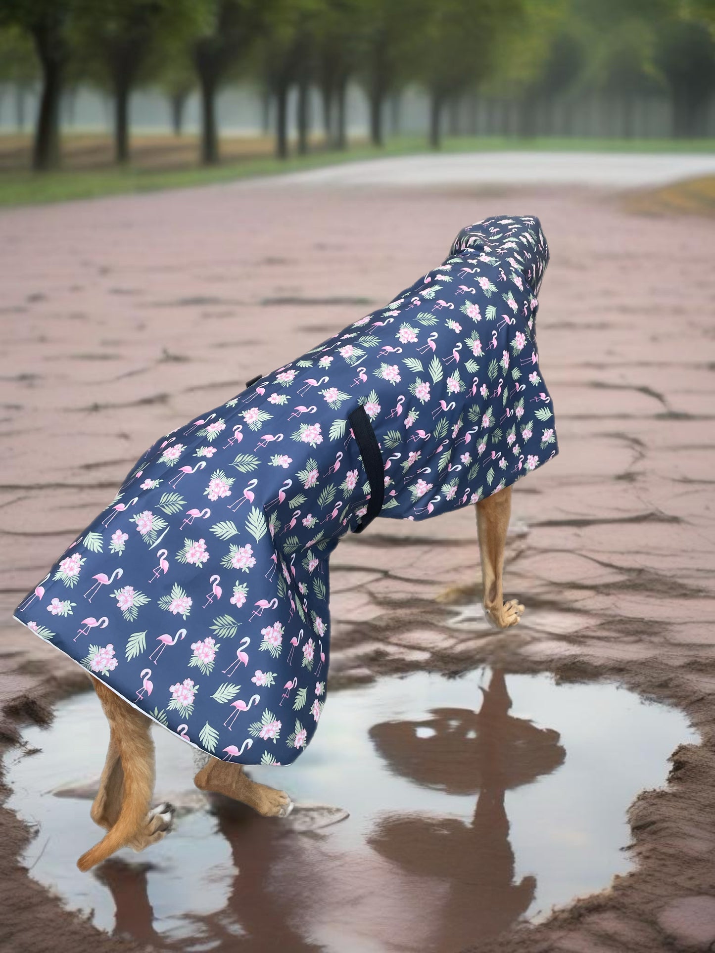 Navy base with pink flamingos Greyhound coat deluxe style, summer rainwear, washable