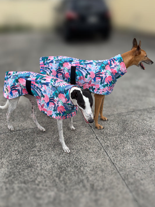 Tropical bloom luxe greyhound sports coat mid weight cotton & fleece Autumn wear